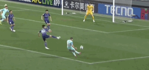 开云网页-广岛1-0柔佛总比分2-3遭淘汰，木下康介点射破门，阿里瓦斯中柱