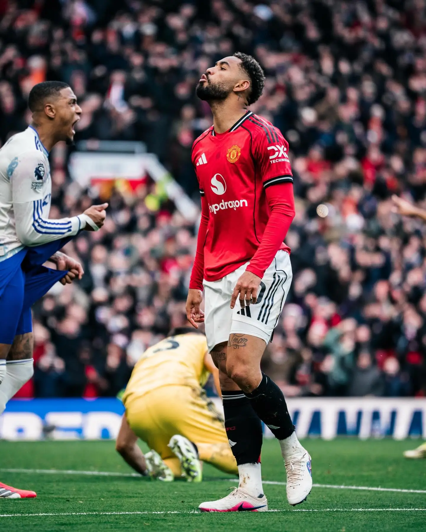 开云网页-打入一球，库尼亚赛后社媒：酷毙了，美丽的周日